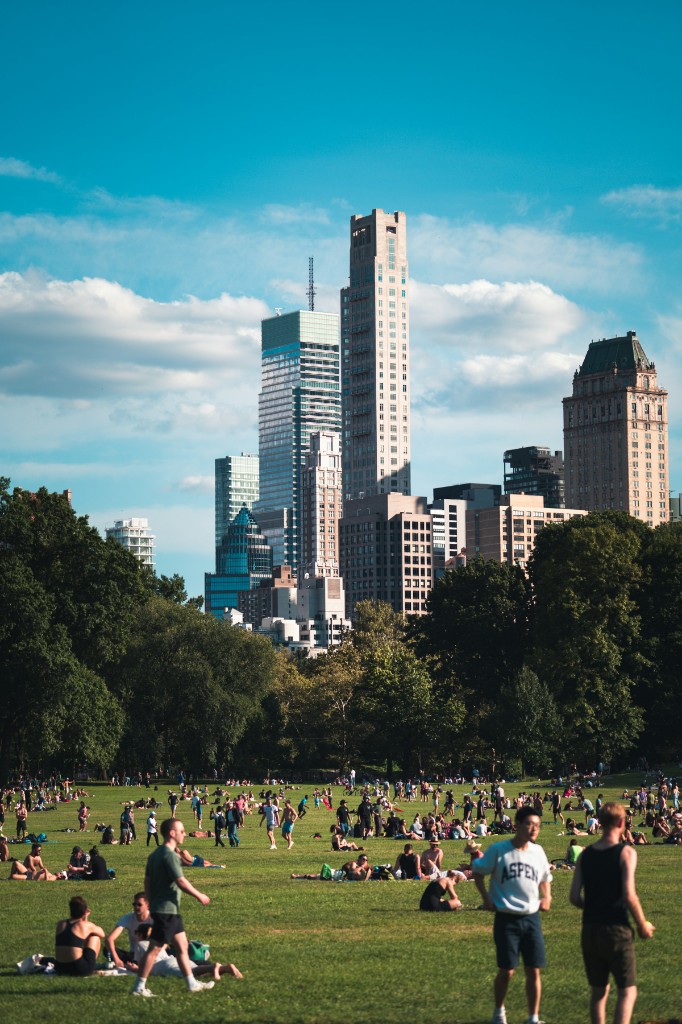 A crowded lawn in a city park, with the skyline behind it